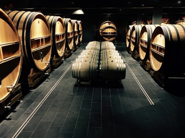 bodegas vino calidad