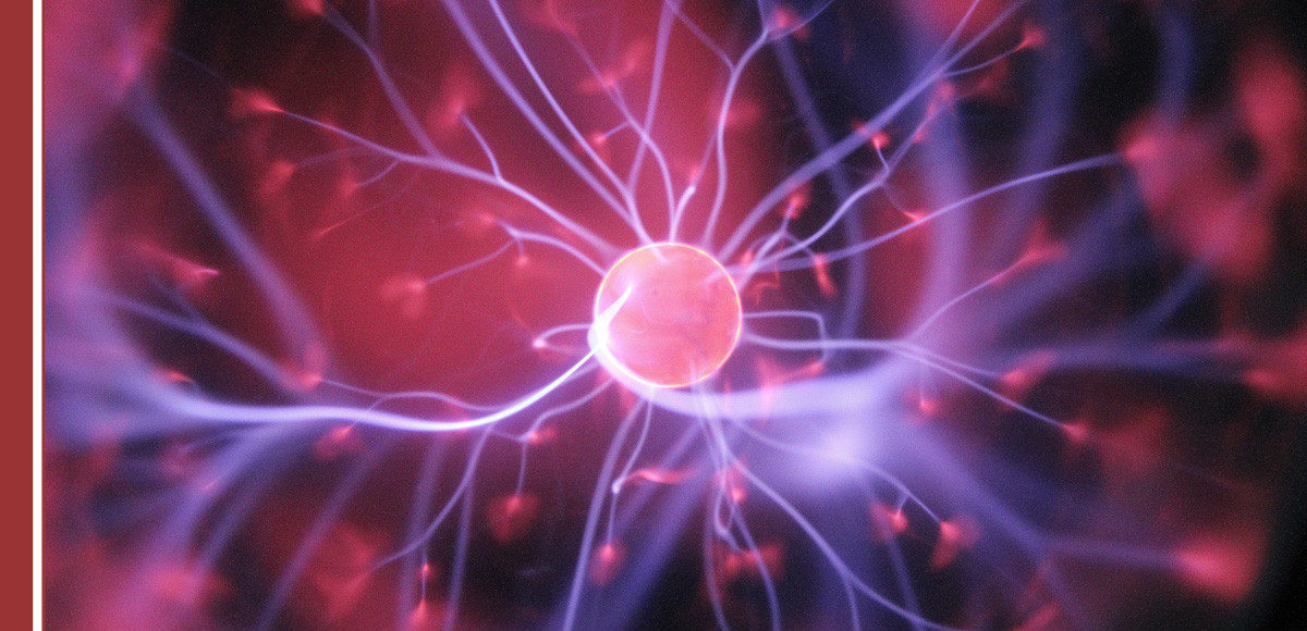 Por qué estudiar Neuropsicología