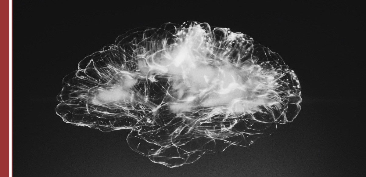 Neuroeduación