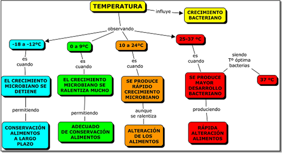 GRAFICO_ALIMENTACION
