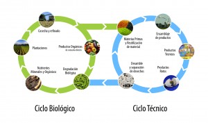 Ciclo_de_vida_C2C