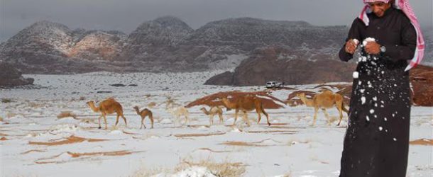 Camellos en la nieve y sombrillas en Alaska