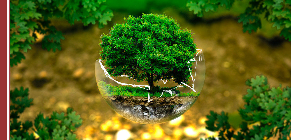 tipos-energias.renovables