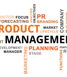 product management y ciclo de vida del producto