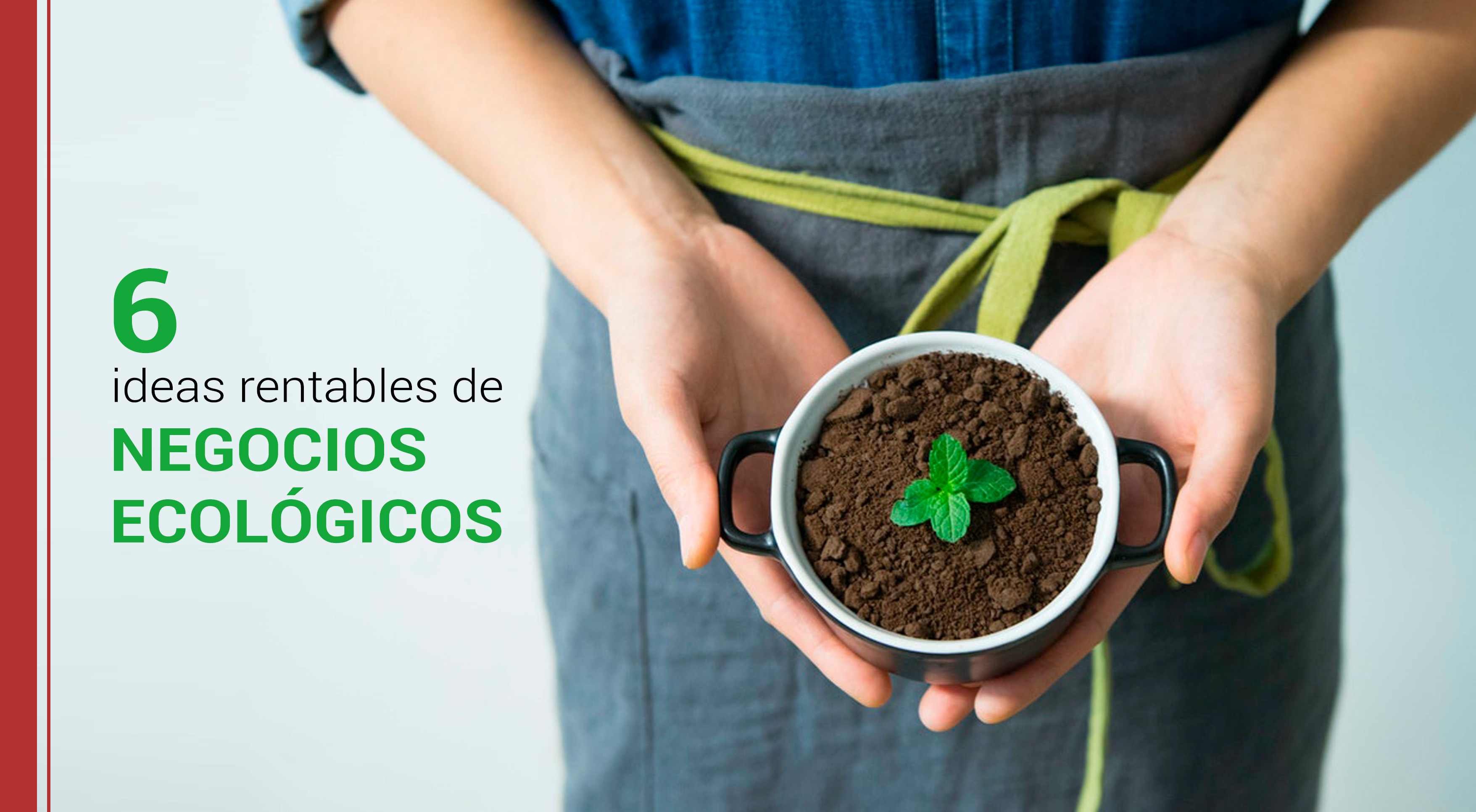 ideas rentables de negocios ecologicos