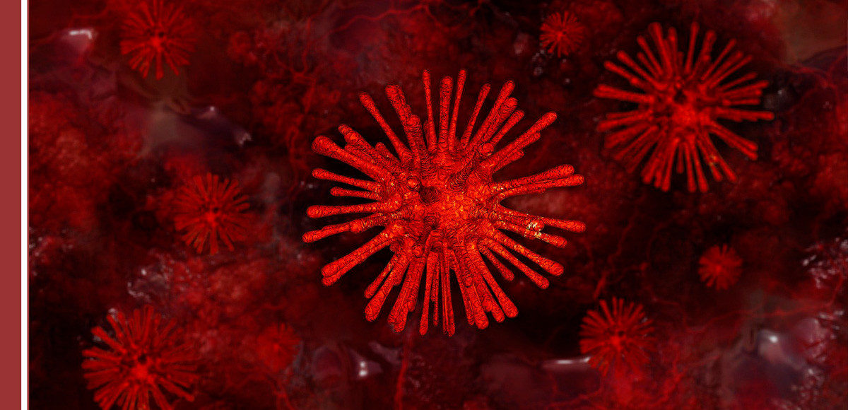 que es un virus