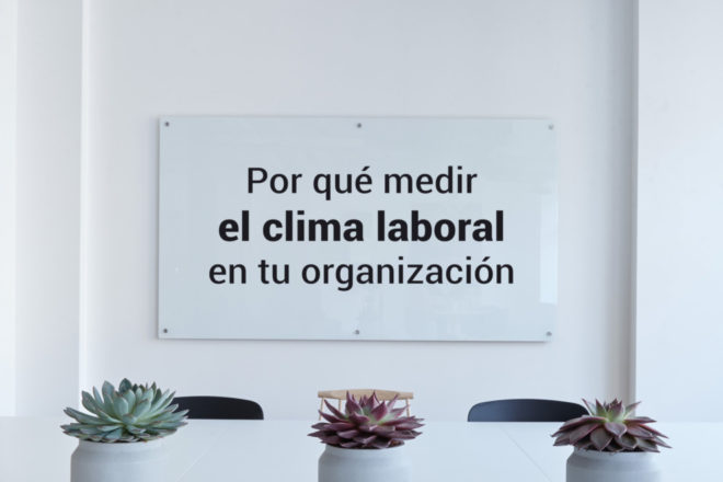 ¿Por qué debes medir el clima laboral en tu organización?