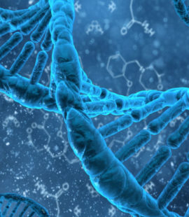 doble helice adn dna