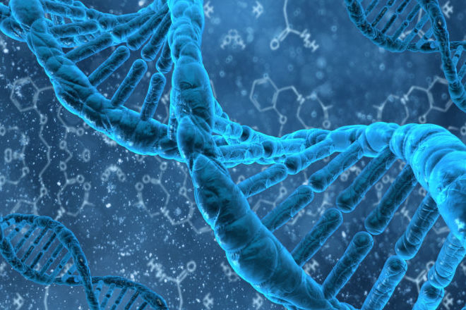 doble helice adn dna