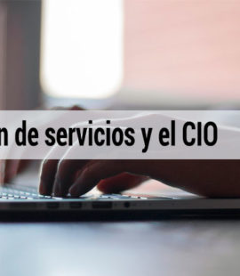 La gestión de servicios y el CIO