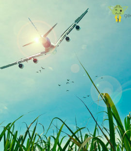Vuelos baratos con Google Flights
