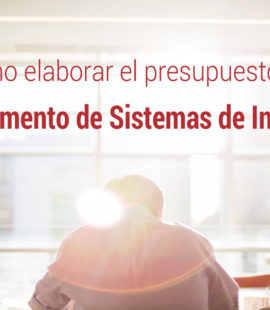 como el director de sistemas elabora el presupuesto