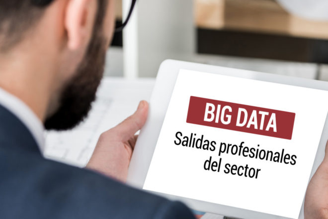 salidas profesionales en el sector big data