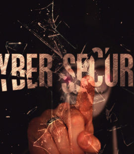 Organismos de ciberseguridad