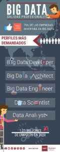salidas profesionales del big data